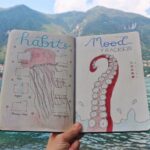 Bullet Journal pages Habits and mood trackers